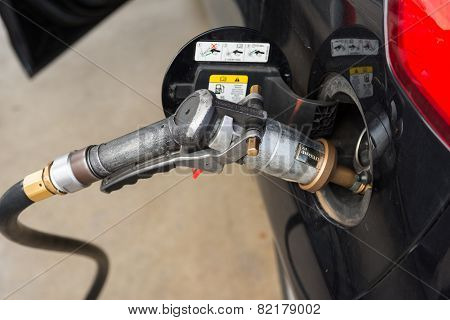 Fuel