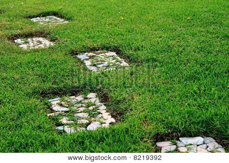 Grass