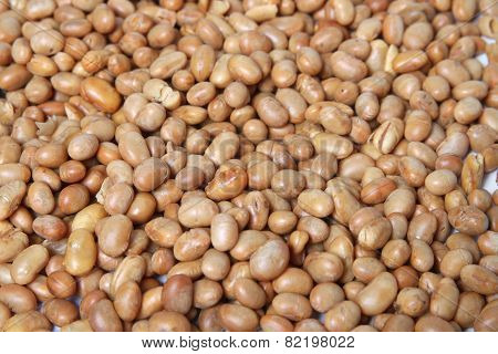 Roasted Soya Bean  Nuts