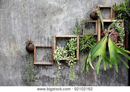 Wood Frame With Some Plant On The Wall
