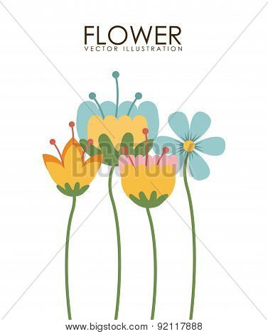 flowers design over white background vector illustration