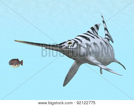 Ichthyosaur Eurhinosaurus