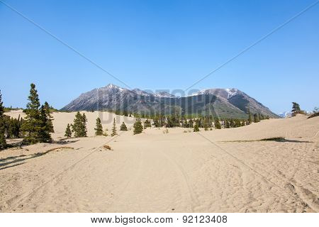 Carcross Desert