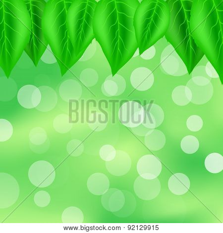 Leaves Pattern