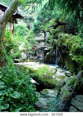 Japán paradicsom