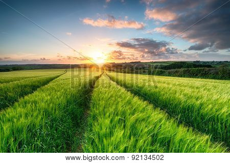 Cornwall Countryside