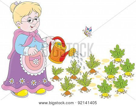 Granny watering vegetables