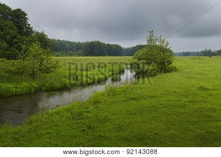 The green meadow