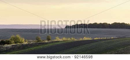 Agricultural Field