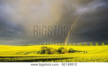 sun, rain and two rainbows over the field