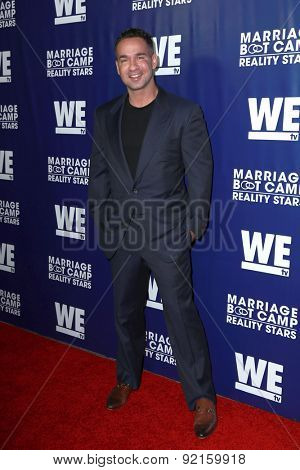 LOS ANGELES - MAY 28:  Mike Sorrentino at the WE tv's 