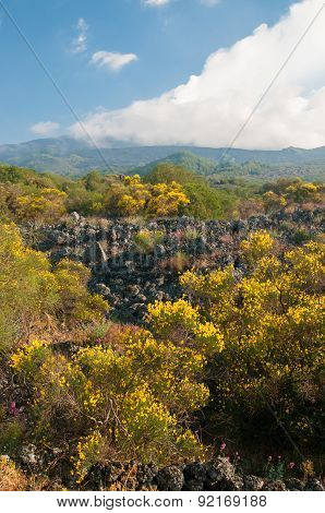 Etna Landscapes