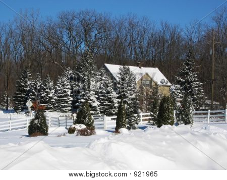 Winter sneeuw