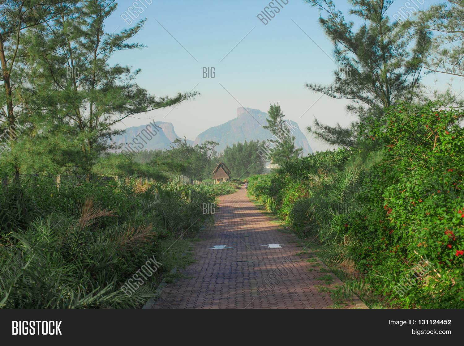 Image Preview