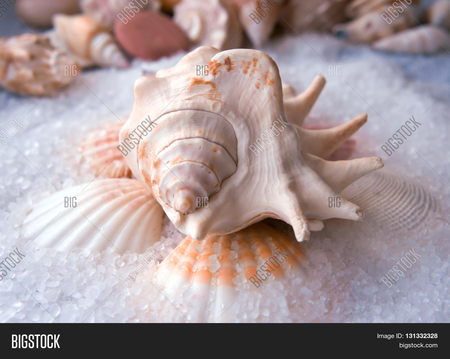 Image Preview