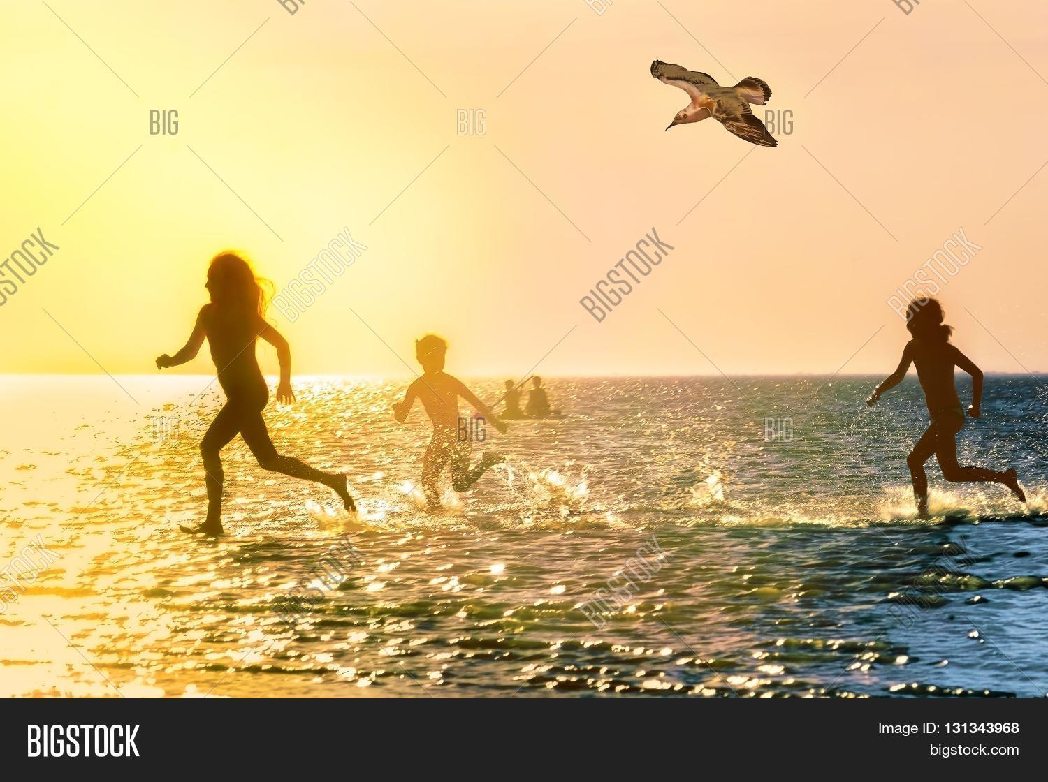 Image Preview