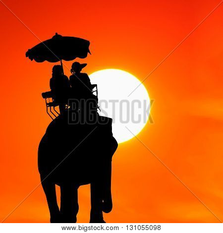 silhouette elephant with tourist at beautiful sunset