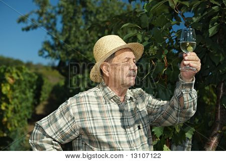 Senior viinikauppias testaus viiniä ulkona vinery.
