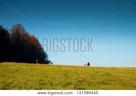 Tourist Familly Is Slowly Walking Up To Hill Into Beach Forest. Autumn Landscape. Meadow At Horizon