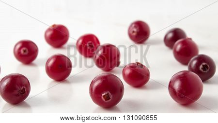 Red cranberries close-up shot with small depth of field