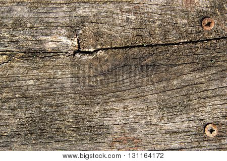 Wooden Texture On The Hovel. Wood Textured Background. Old Wood Table