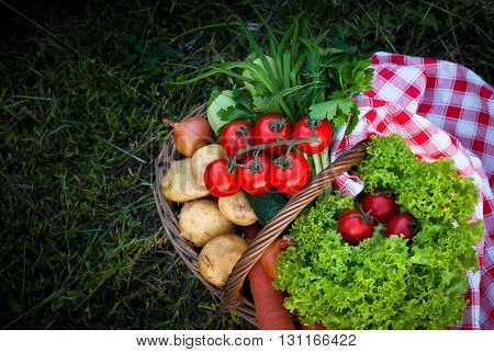 Basket with fresh farm vegetables in the grass. Picnic. Healthy food.