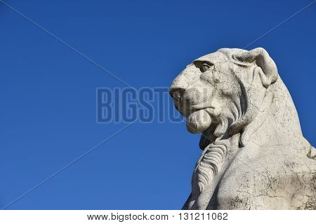 Majestic Lion. Marble statue of a lion from Vittoriano monument a huge building in the center of Rome designed by architect Giuseppe Sacconi in 1883