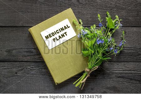 Medicinal plant Veronica Chamaedrys and herbalist handbook on the old wooden table