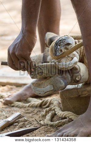 Chettinad India - October 16 2013: Blacksmith near Namunasamudran takes old shoe of buffalo foot. Two feet of buffalo in action photo focus on hands blacksmith and feet of animal.