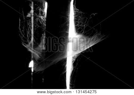 Abstract Spiderweb backlight detail on black background