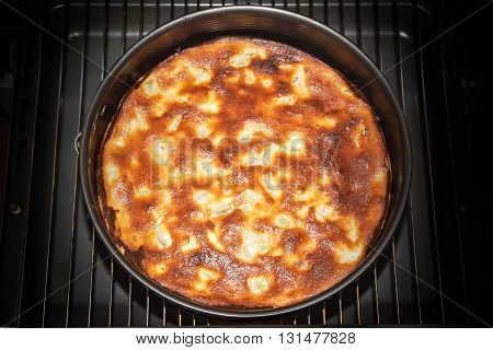 homemade cake in a springform pan just finished in the oven view from above dark background