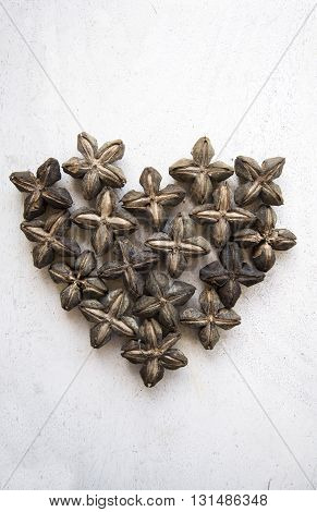 Sacha inchi peanut seed on white wood background for health concept.