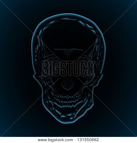 X-rays of the human skull. Vector illustration for your creativity