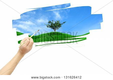 Hand with brush and paint on white background