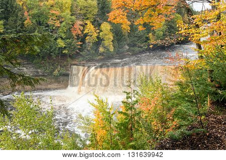 Autumns vivid foliage frames Upper Tahquamenon Falls as it rages along the Tahquamenon River after heavy autumn rains. Some people refer to this as the Rootbeer falls because of the rusty brown color. This color results from tannins that leach through the