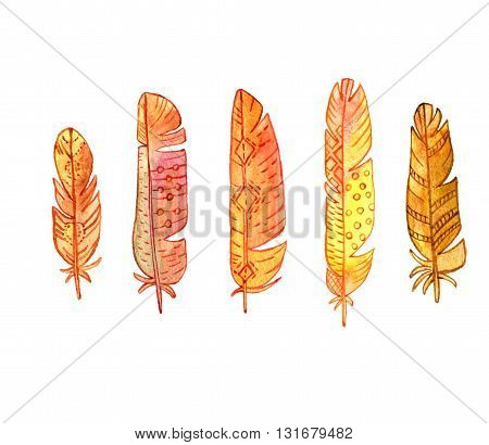 set of watercolor drawing golden feathers, ornate color plumelet isolated at white background, hand drawn elements