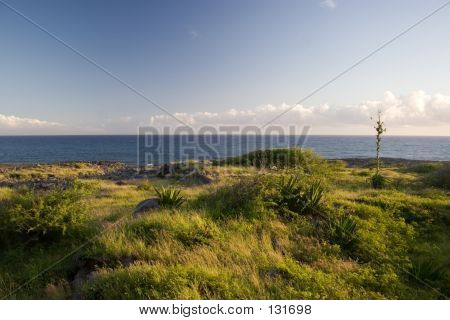 Scenic Ocean View