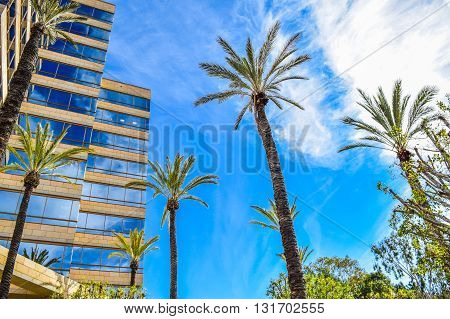 USA, California, Los Angeles, Hollywood, 17 Janua 2015: Outside views of the  Studio Warner Bros Los Angeles. Studio Tour Hollywood . New York Film Academy. palms Guckenheimer Enterprises Inc. TNT TBS