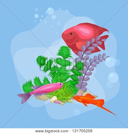 Underwater vector world background with fish, seaweed and bubbles, illustration