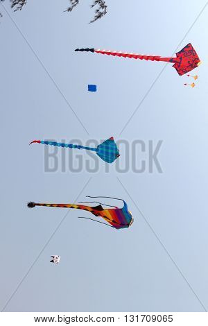 colorful kite in the blue sky at the summer holidays time