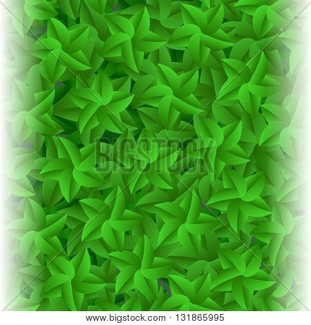 Green Leaves Pattern. Evergreen Hedgegrow. Summer Leaves Background