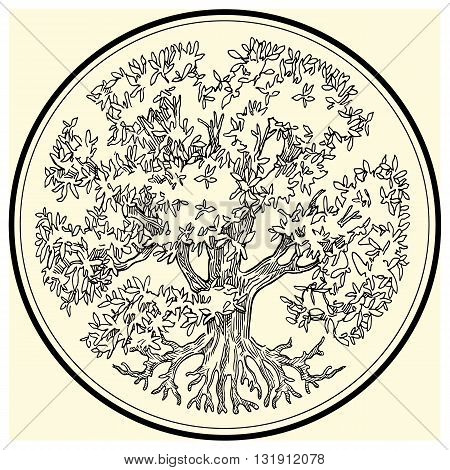 Hand drawn tree. Vectror illustration made in vintage style.