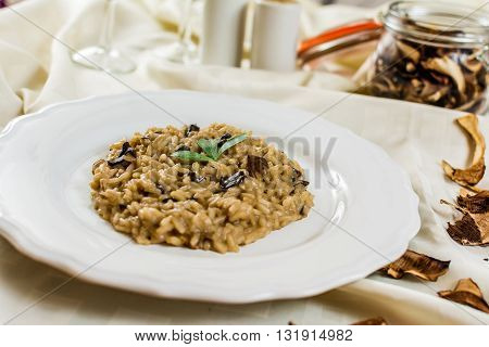 Traditional italian risotto with mushroom on white plate