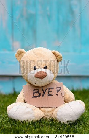 Teddy Bear Holding Cardboard With Information Bye