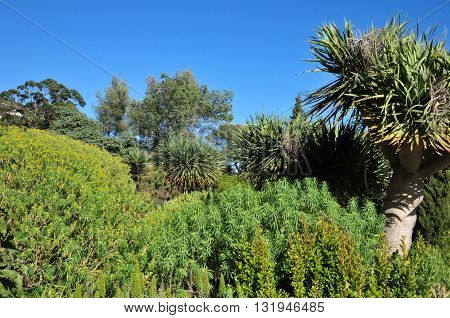 Rayol Canadel sur Mer France - april 18 2016 : the estate Rayol garden in spring