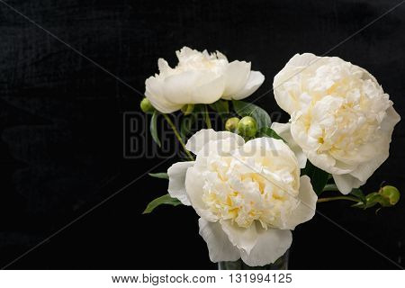 A bouquet of beautifull peonies flowers. Top view.