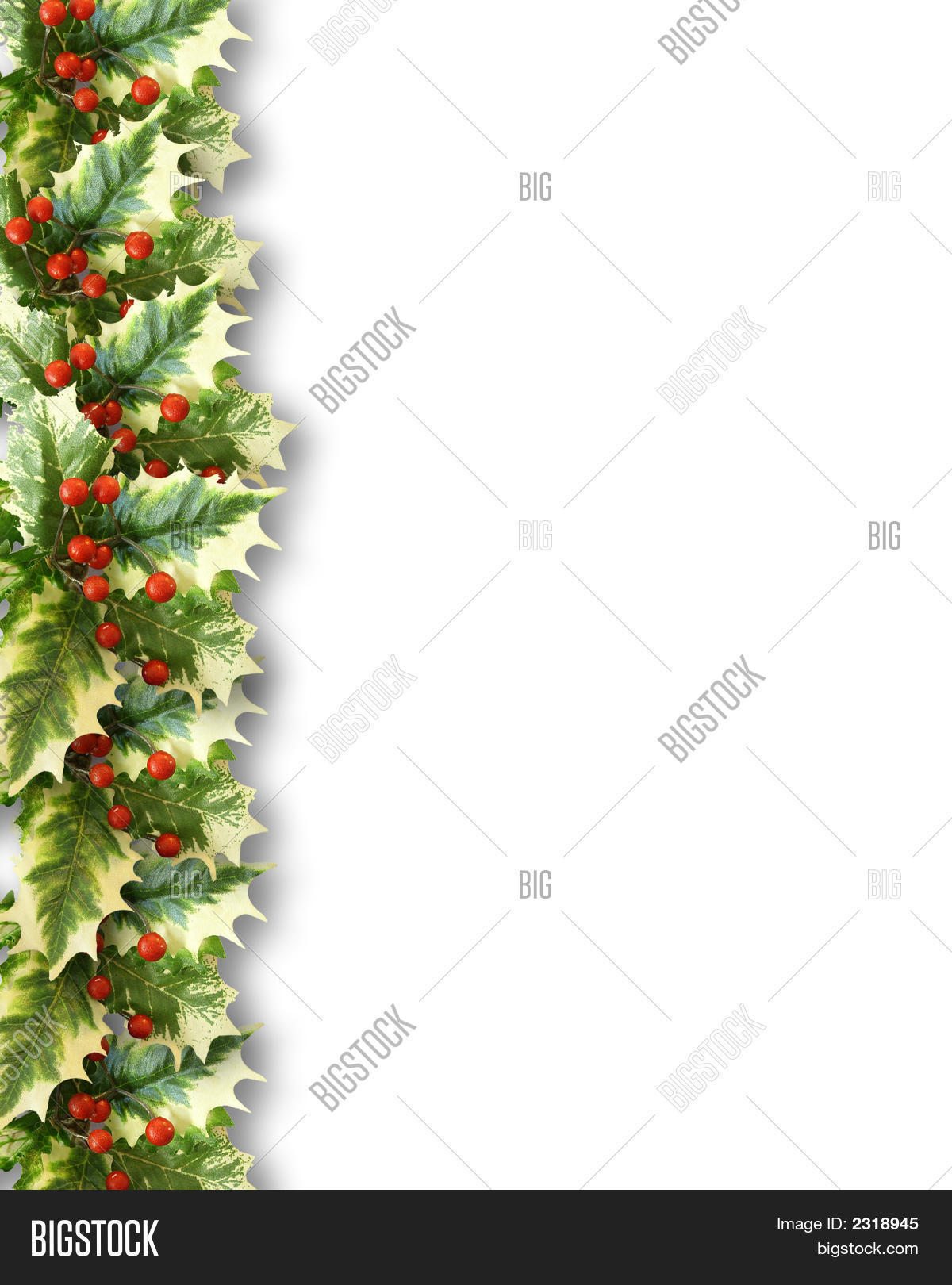 christmas holly border image photo free trial bigstock