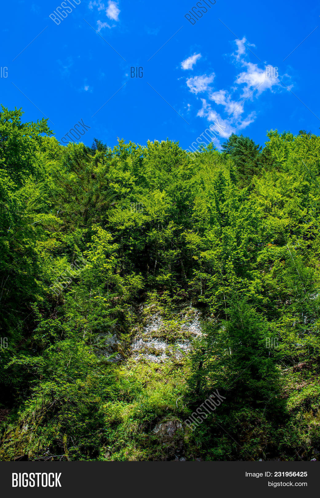 Photo Beautiful Green Image & Photo (Free Trial) | Bigstock