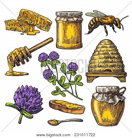 Honey Set. Jars Of Honey, Bee, Hive, Clover, Spoon, Bee, Bread And Honeycomb. Vector Vintage Color E