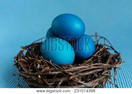 Easter egg in the nest on blue background